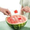 Stainless Steel Watermelon Slicer