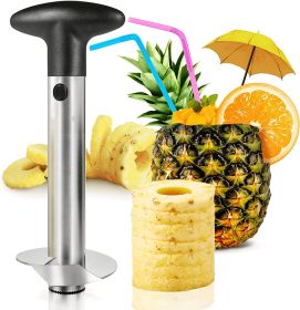 Newness Premium Pineapple Corer Remover (Color: Black)