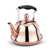 2L Whistling Kettle For Gas Stove